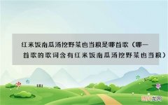 哪一首歌的歌词含有红米饭南瓜汤挖野菜也当粮 红米饭南瓜汤挖野菜也当粮是