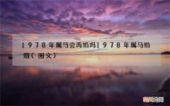 图文 1978年属马会再婚吗 1978年属马婚姻