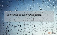 正者无敌剧情简介 正者无敌剧情