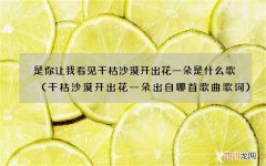干枯沙漠开出花一朵出自哪首歌曲歌词 是你让我看见干枯沙漠开出花一朵是什
