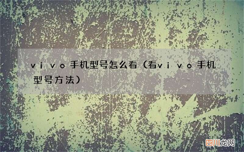 看vivo手机型号方法 vivo手机型号怎么看