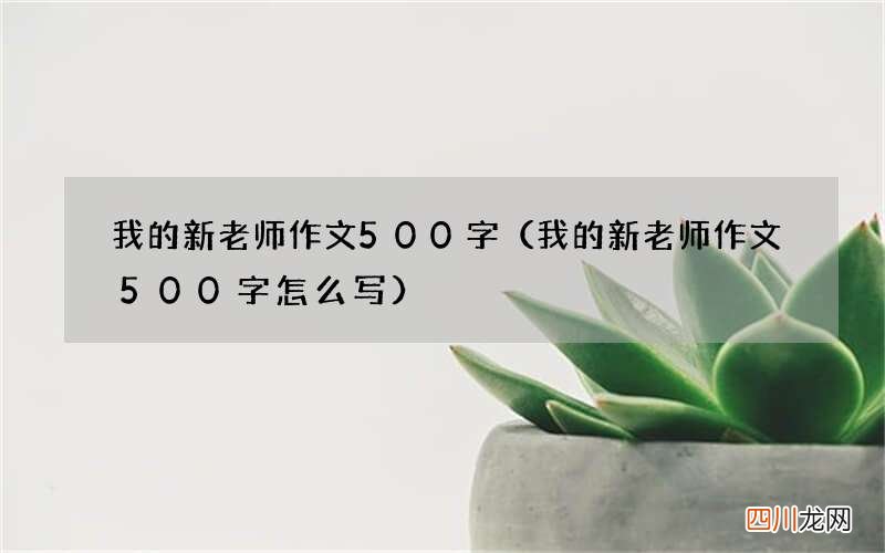 我的新老师作文500字怎么写 我的新老师作文500字