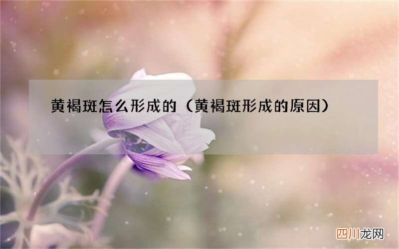 黄褐斑形成的原因 黄褐斑怎么形成的