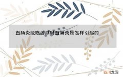 直肠炎能吃苦瓜吗 直肠炎是怎样引起的
