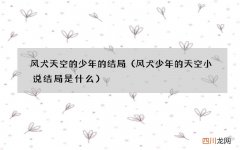 风犬少年的天空小说结局是什么 风犬天空的少年的结局