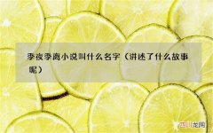 讲述了什么故事呢 季夜季离小说叫什么名字