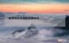 鼠男和女羊相配婚姻如何，男鼠女羊婚配家破人亡