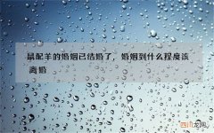 鼠配羊的婚姻已结婚了，婚姻到什么程度该离婚
