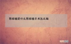 肾移植是什么 肾移植手术怎么做