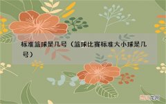篮球比赛标准大小球是几号 标准篮球是几号