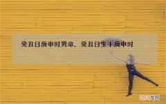 癸丑日庚申时男命，癸丑日生于庚申时