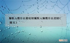 图文 属猴人戴什么最旺财 属猴人佩戴什么招财