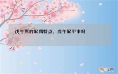 戊午男的配偶特点，戊午配甲申吗