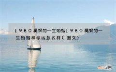 图文 1980属猴的一生婚姻 1980属猴的一生婚姻和命运怎么样