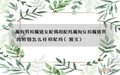 图文 属狗男和属猪女配偶相配吗 属狗女和属猪男的婚姻怎么样相配吗