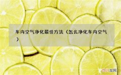 怎么净化车内空气 车内空气净化最佳方法