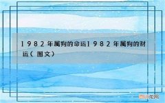 图文 1982年属狗的命运 1982年属狗的财运
