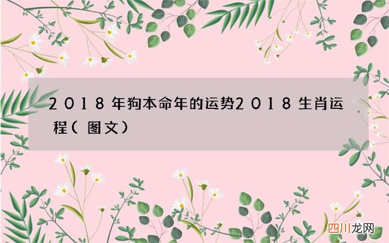图文 2018年狗本命年的运势 2018生肖运程