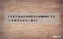 图文 1982年出生的狗是什么命 属狗的1982年是什么命女