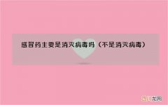 不是消灭病毒 感冒药主要是消灭病毒吗