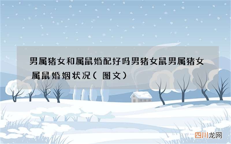 图文 男属猪女和属鼠婚配好吗 男猪女鼠男属猪女属鼠婚姻状况