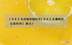 图文 1983年的猪婚姻状况 1983年属猪的会离婚吗