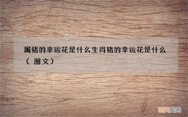 图文 属猪的幸运花是什么 生肖猪的幸运花是什么