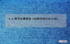 看群号的方法介绍 qq群号在哪里看
