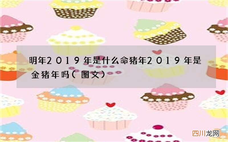 图文 明年2019年是什么命猪年 2019年是金猪年吗
