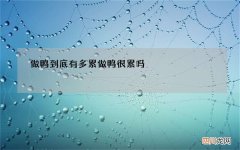 做鸭到底有多累 做鸭很累吗