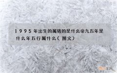 图文 1995年出生的属猪的是什么命 九五年是什么年五行属什么