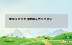 中国菜的英文名 中国菜的英文名字