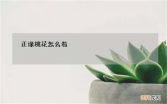 正缘桃花怎么看，正缘桃花多说明什么