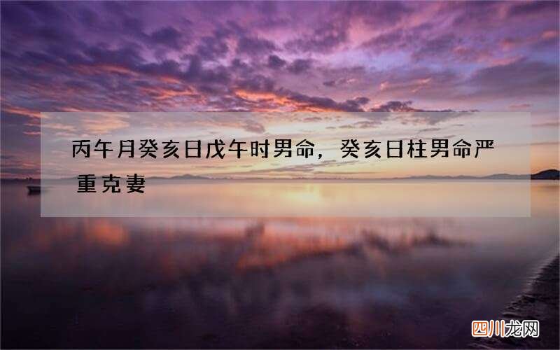 丙午月癸亥日戊午时男命，癸亥日柱男命严重克妻