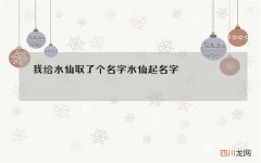我给水仙取了个名字 水仙起名字