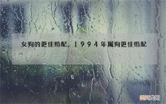 女狗的更佳婚配，1994年属狗更佳婚配