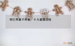 癸巳男妻子外貌，十大富贵日柱