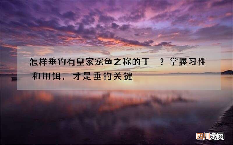 怎样垂钓有皇家宠鱼之称的丁鱥？掌握习性和用饵，才是垂钓关键