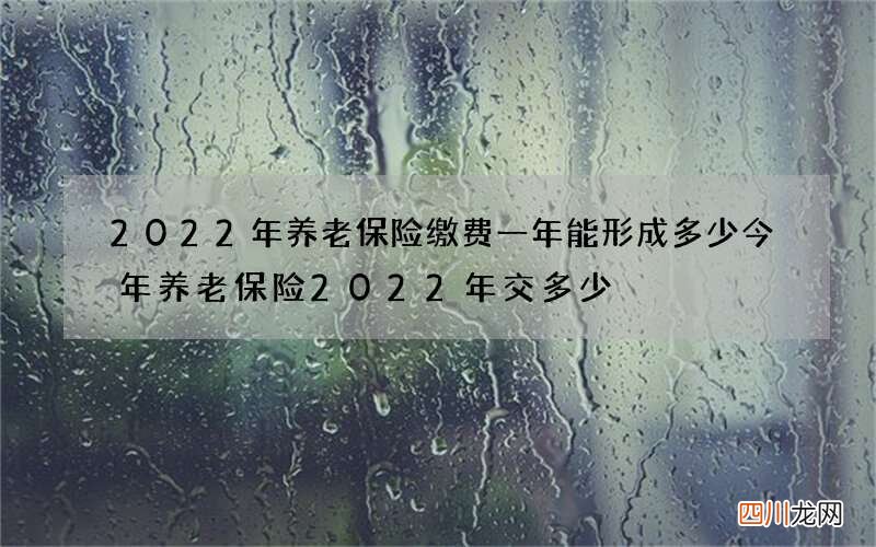 2022年养老保险缴费一年能形成多少 今年养老保险2022年交多少