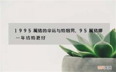 1995属猪的命运与婚姻男，95属猪哪一年结婚更好