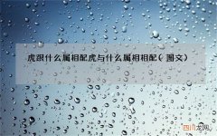 图文 虎跟什么属相配 虎与什么属相相配