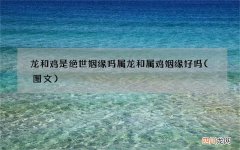 图文 龙和鸡是绝世姻缘吗 属龙和属鸡姻缘好吗