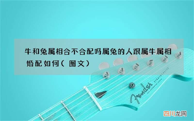 图文 牛和兔属相合不合配吗 属兔的人跟属牛属相婚配如何