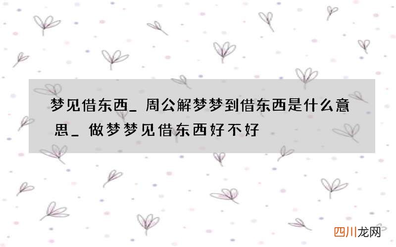 梦见借东西_周公解梦梦到借东西是什么意思_做梦梦见借东西好不好