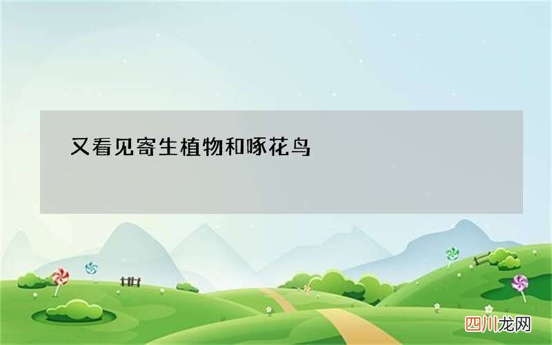 又看见寄生植物和啄花鸟