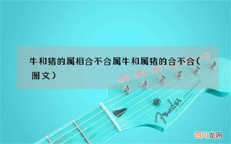 图文 牛和猪的属相合不合 属牛和属猪的合不合