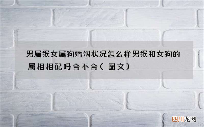 图文 男属猴女属狗婚姻状况怎么样 男猴和女狗的属相相配吗合不合