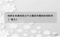 图文 狗跟老虎属相虎合不合 属虎和属狗的相配吗