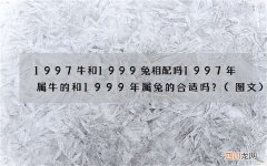 图文 1997牛和1999兔相配吗 1997年属牛的和1999年属兔的合适吗？