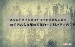 图文 猪跟狗和鸡相冲吗合不合相配吗 属狗与属鸡的婚姻怎么样属鸡和属狗一定
